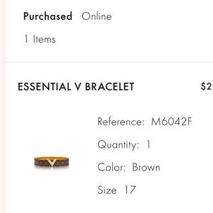 Louis Vuitton Essential V Bracelet